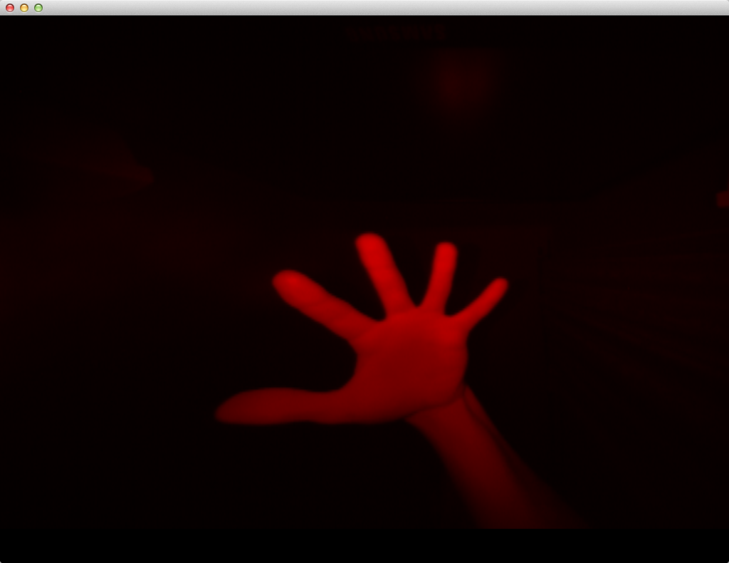 Fig. 5. What Leap Motion Controller sees