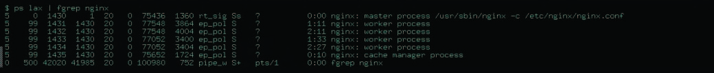 Fig. 2. The state of processes nginx with a 'genealogy' of processes