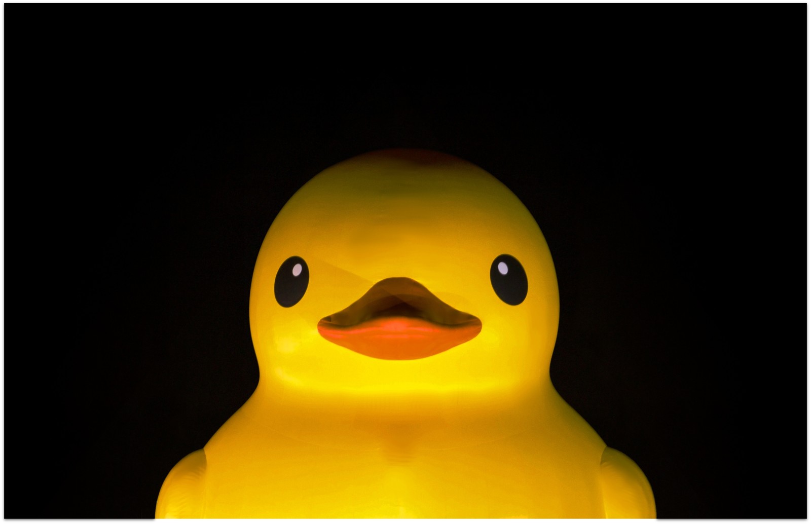 life size rubber duck