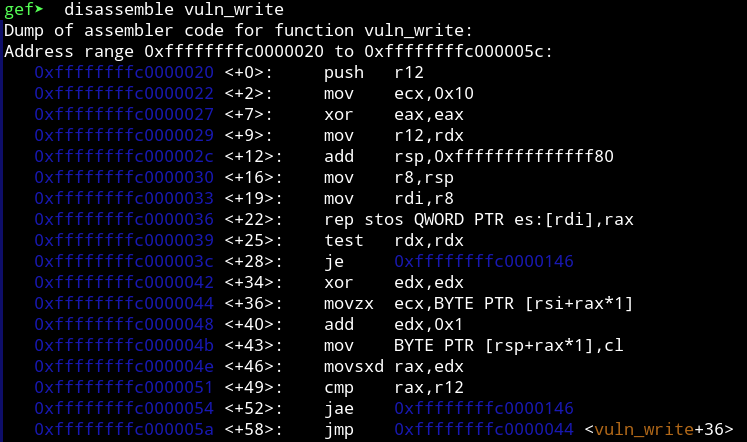 Disassembling the vuln_write function Disassembling the vuln_write function