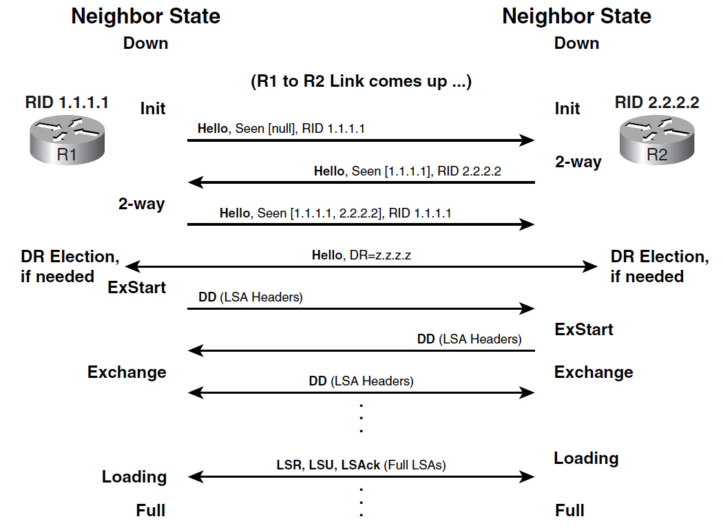 Establishing OSPF neighborship Establishing OSPF neighborship
