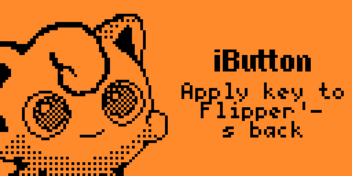 iButton Interaction Interface