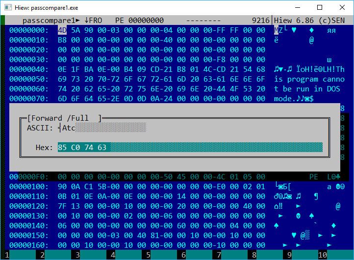 Hiew in hex editing mode Hiew in hex editing mode