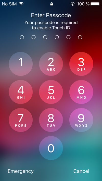 In the morning, the phone prompted for the passcode In the morning, the phone prompted for the passcode