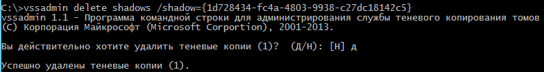 Deleting the shadow copy Deleting the shadow copy