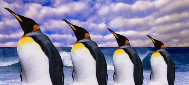 Conducting Forensics on Linux: Memory, Disk, and Network Dumping for Evidence Collection