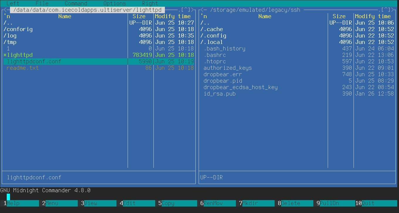 Editing lighttpd.conf using Midnight Commander (mc)