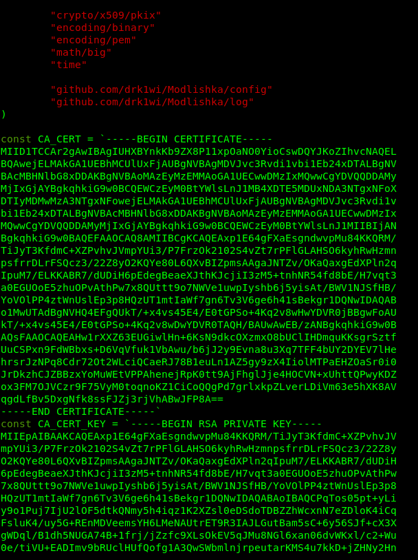 The autocert.go file after replacing the certificate The autocert.go file after replacing the certificate