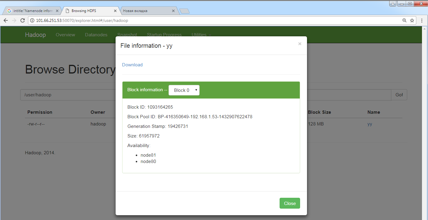 HDFS browser