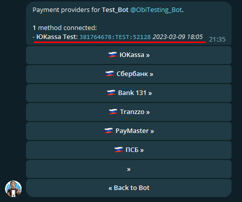 What an online payment token looks like What an online payment token looks like