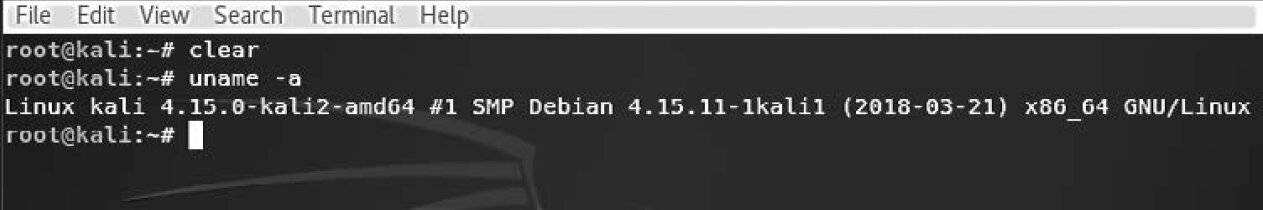 Figure 6.1. Checking the Kali Linux version Figure 6.1. Checking the Kali Linux version