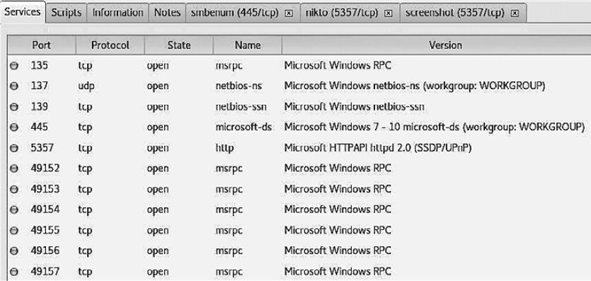 Figure 6.36. Services tab with port information for host 10.10.22.217 Figure 6.36. Services tab with port information for host 10.10.22.217