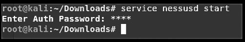 Figure 6.4. Starting the Nessus service Figure 6.4. Starting the Nessus service