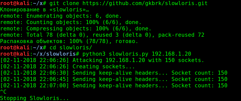 Slowloris DoS from Kali Linux
