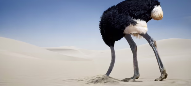How Everyday Users Try to Hide Digital Evidence—and Why It Fails