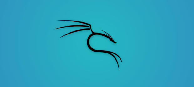 Vulnerability Scanning with Kali Linux: Penetration Testing Essentials