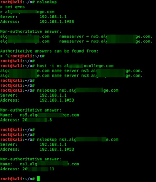 Identifying the names and IP addresses of the NS servers