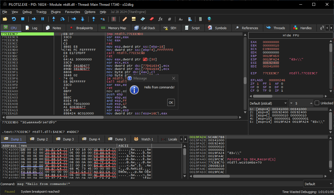 Output of the msg command